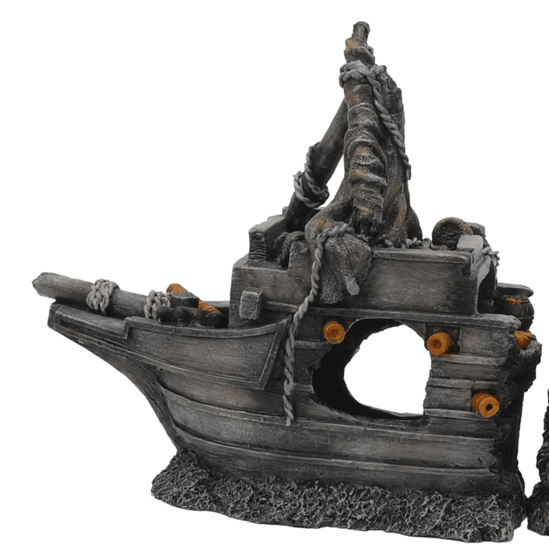 Aquatopia Shipwreck Front Half
