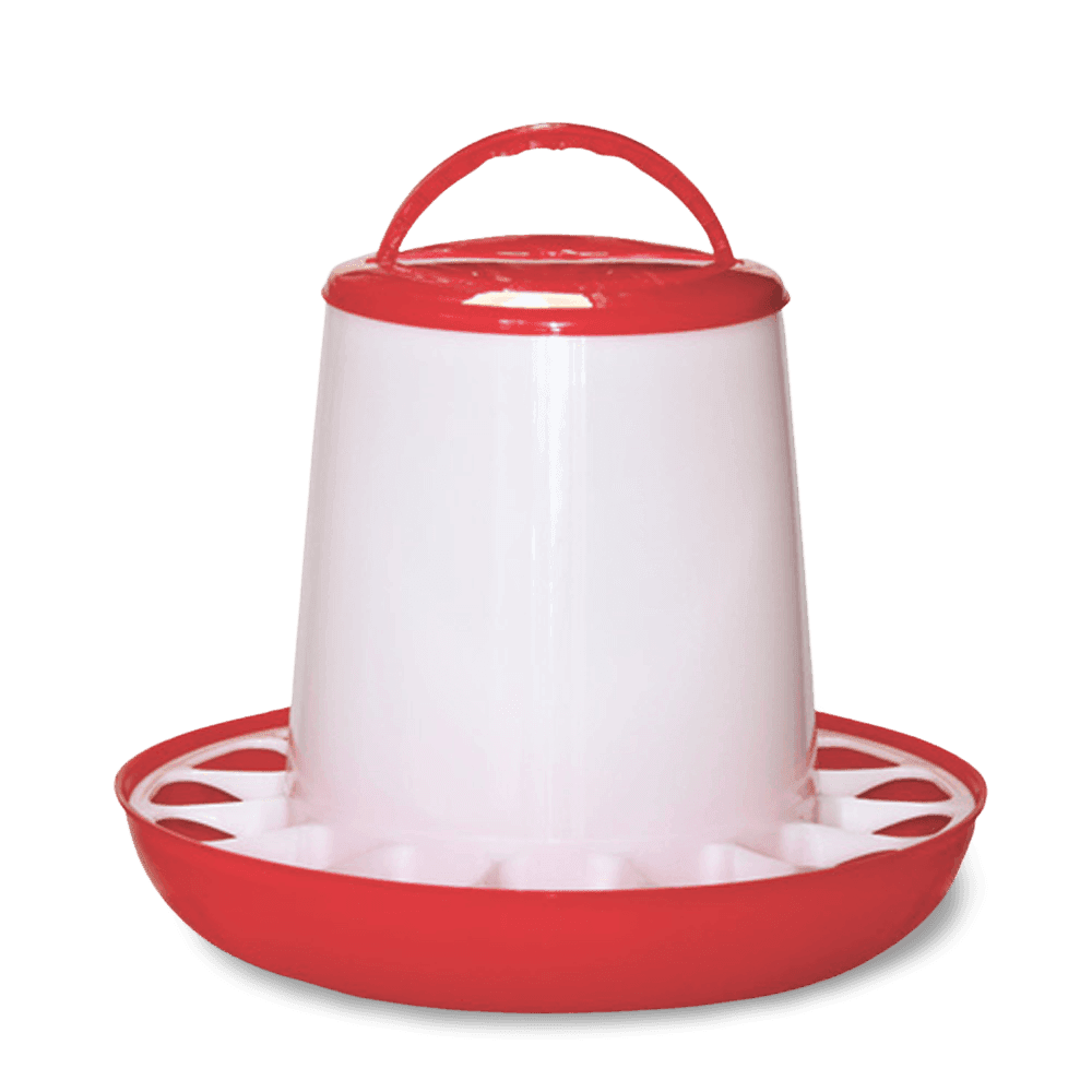 Chicken Feeder Red White