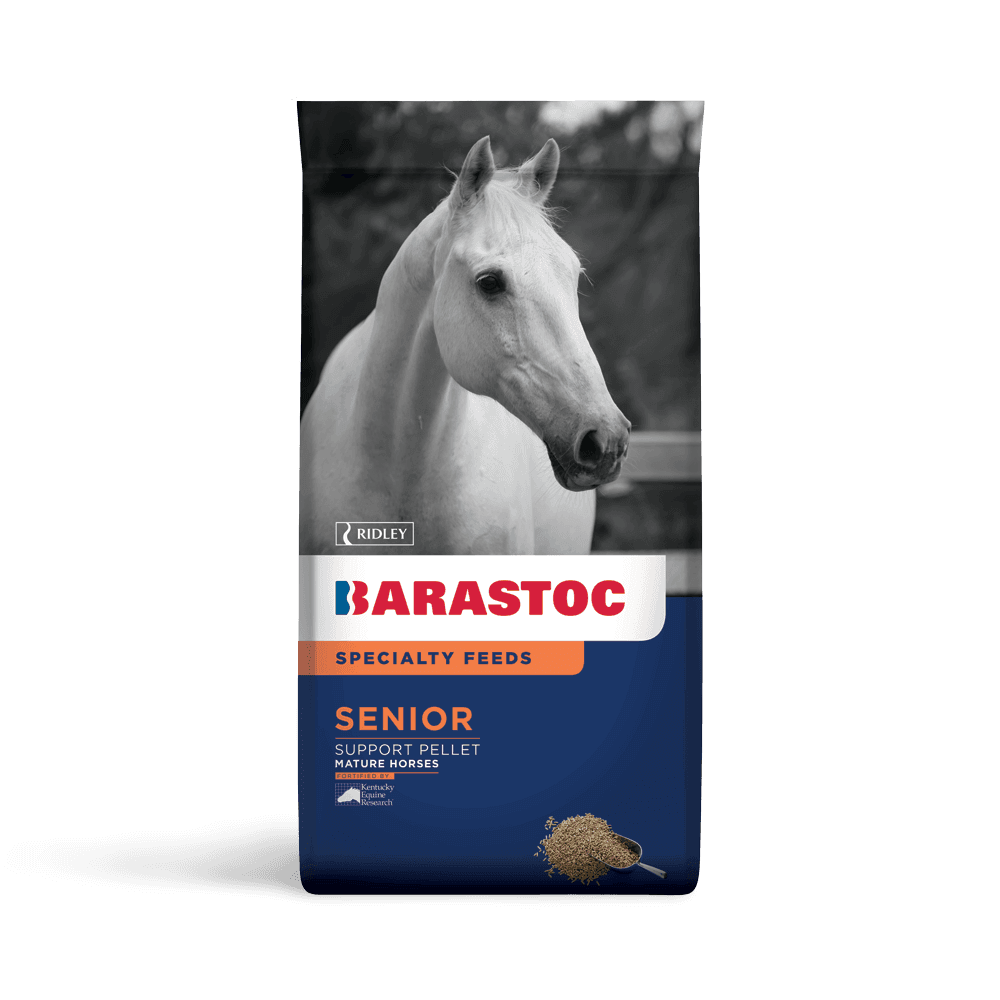 Senior Balanced Feed for Horses