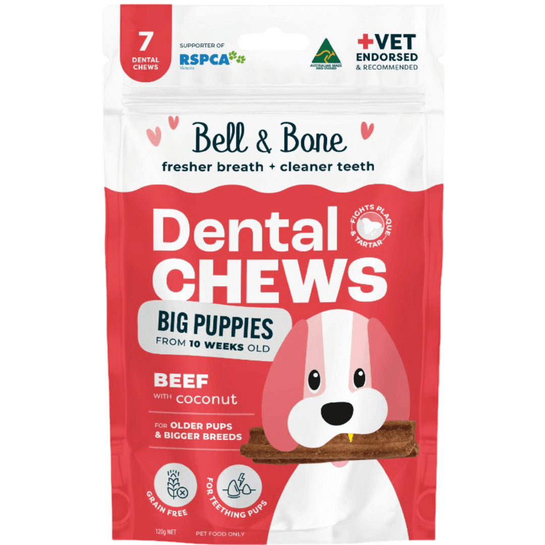 Beef Puppy Dental Chews Large
