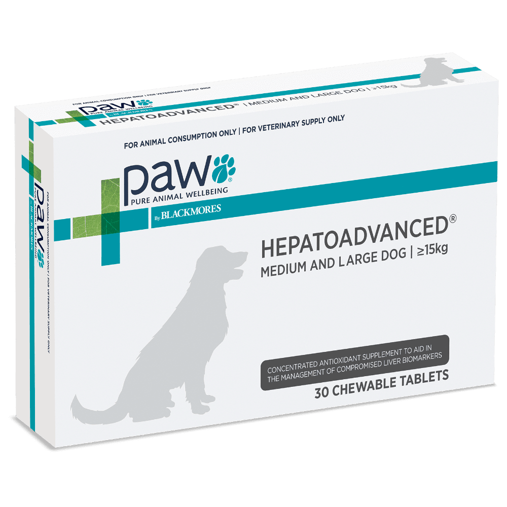 Hepatoadvanced Liver Support for Medium & Large Dogs