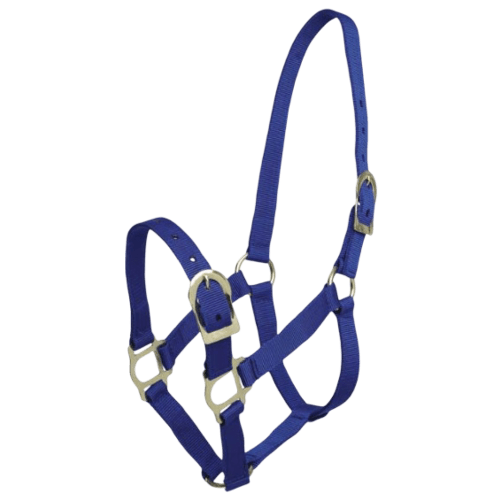 Headstall Picador PP Horse Halter In Blue