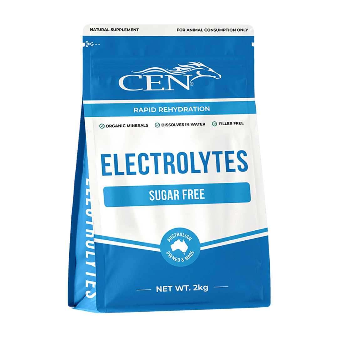Horse Electrolytes Supplement