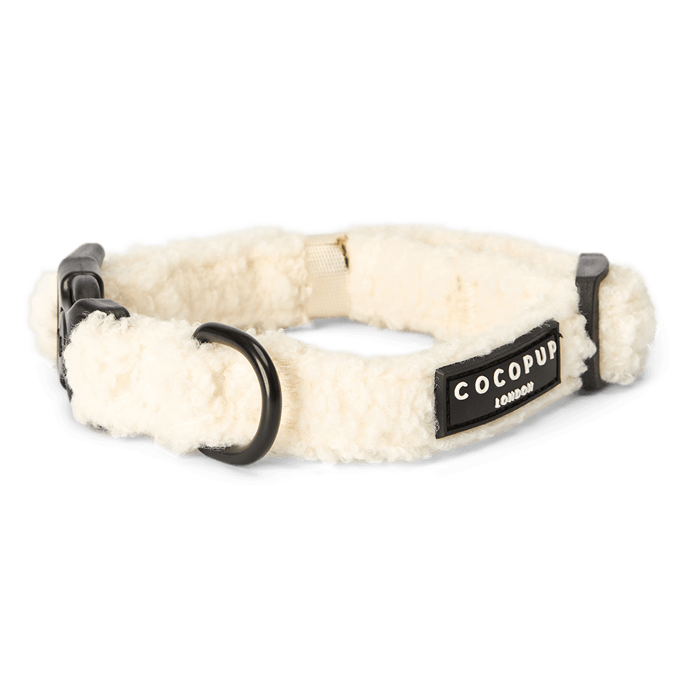 Teddy Dog Collar in Dolly Cream