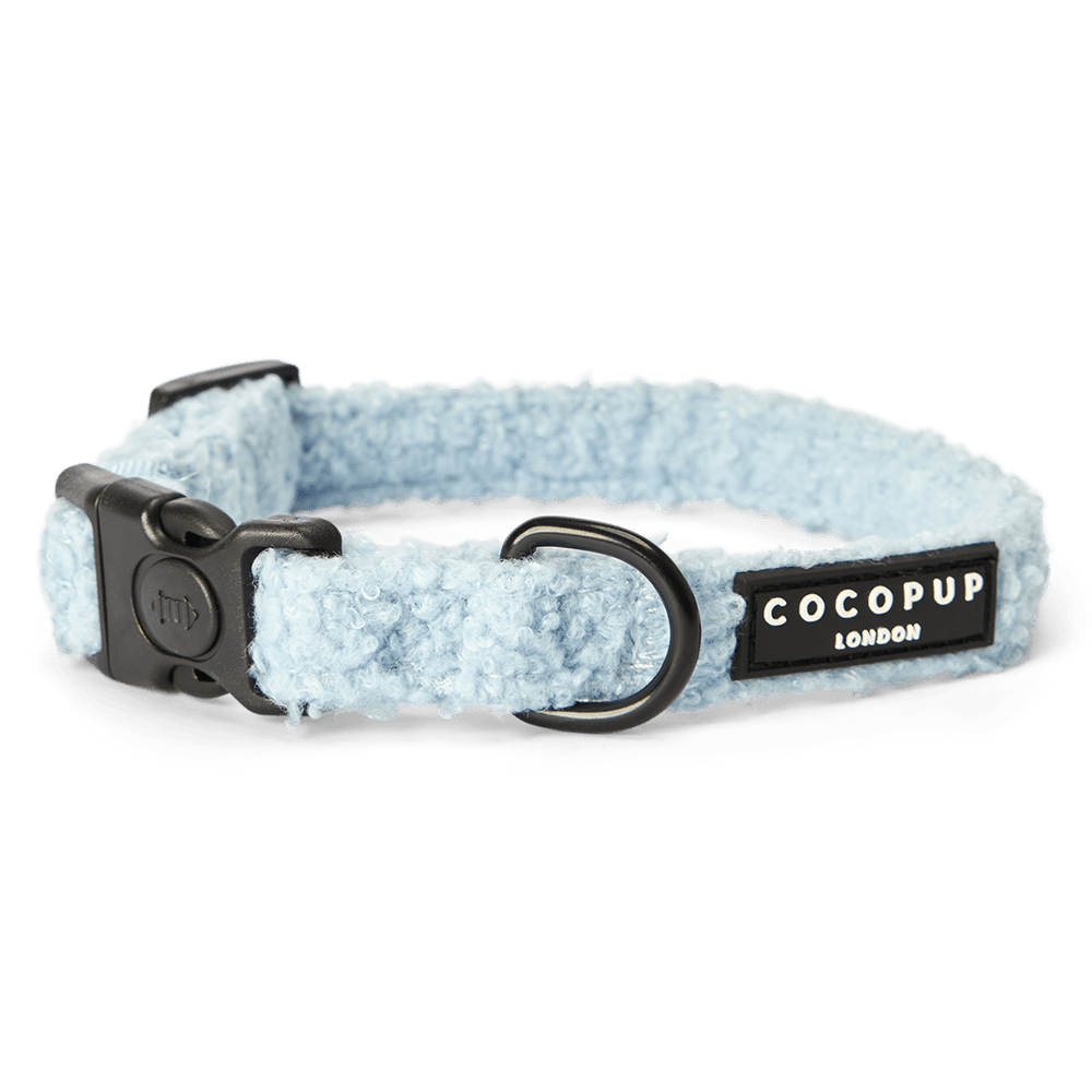 Teddy Dog Collar in Daydream Blue