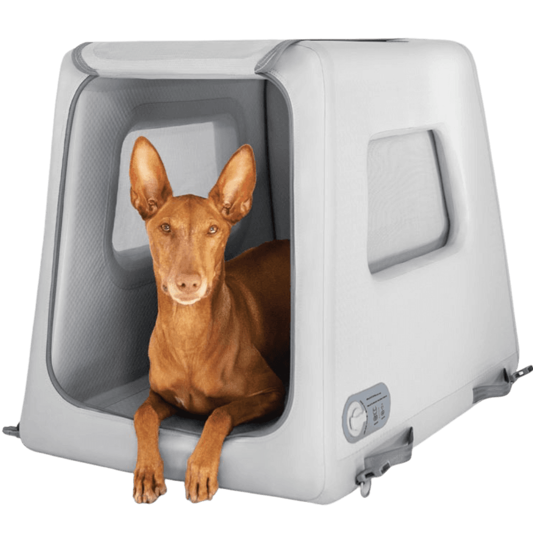 Enventur Inflatable Dog Travel Kennel