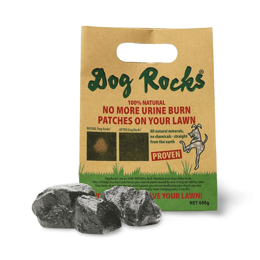 Dog Rocks
