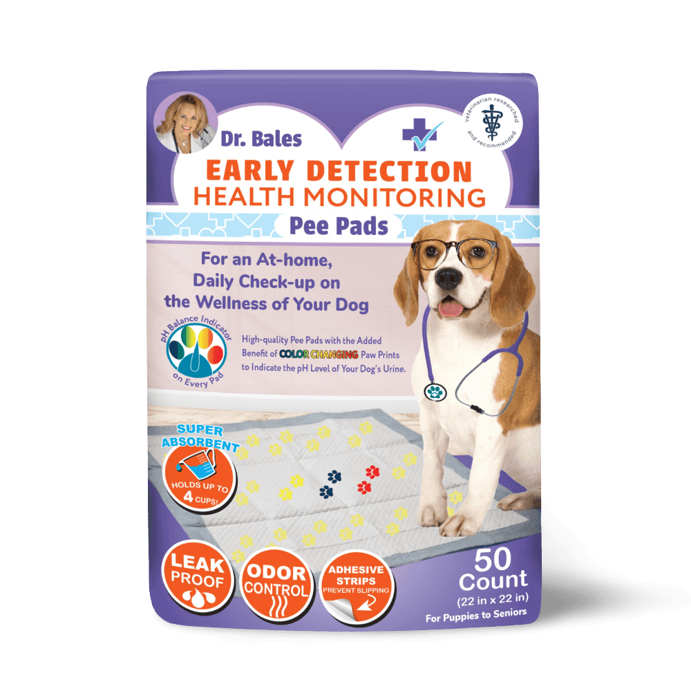 Health Monitoring Pee Pads