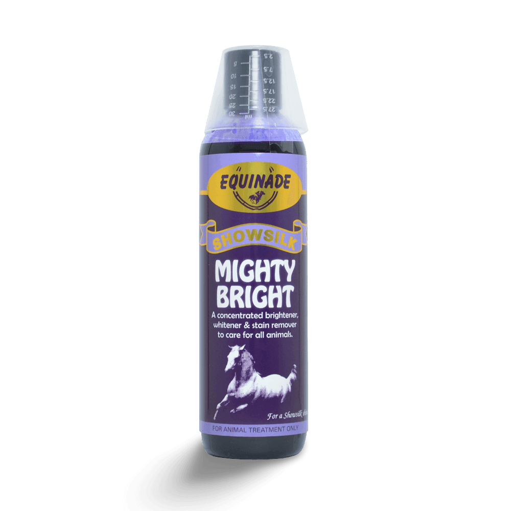 Equinade Showsilk Mighty Bright