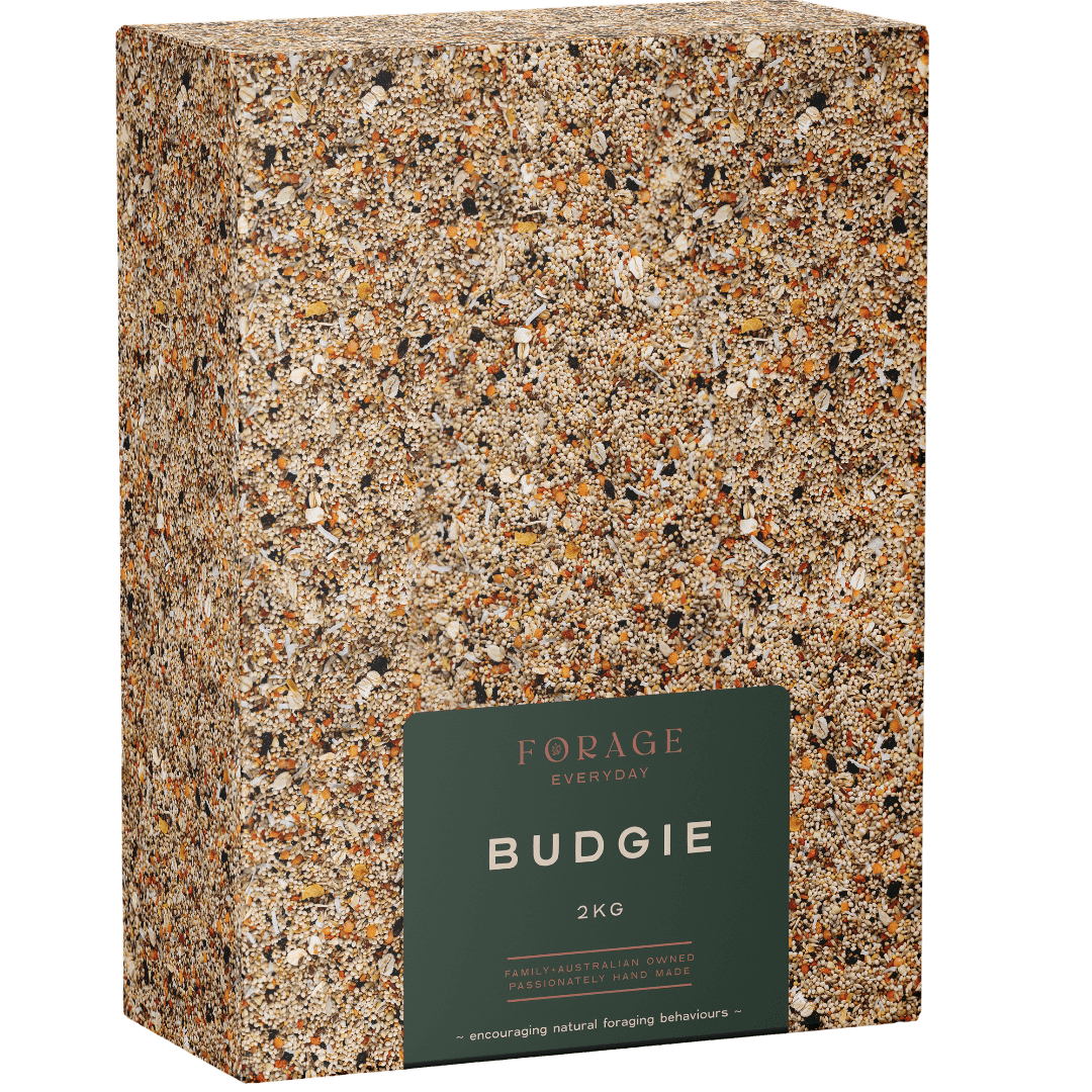 Budgie Bird Treats
