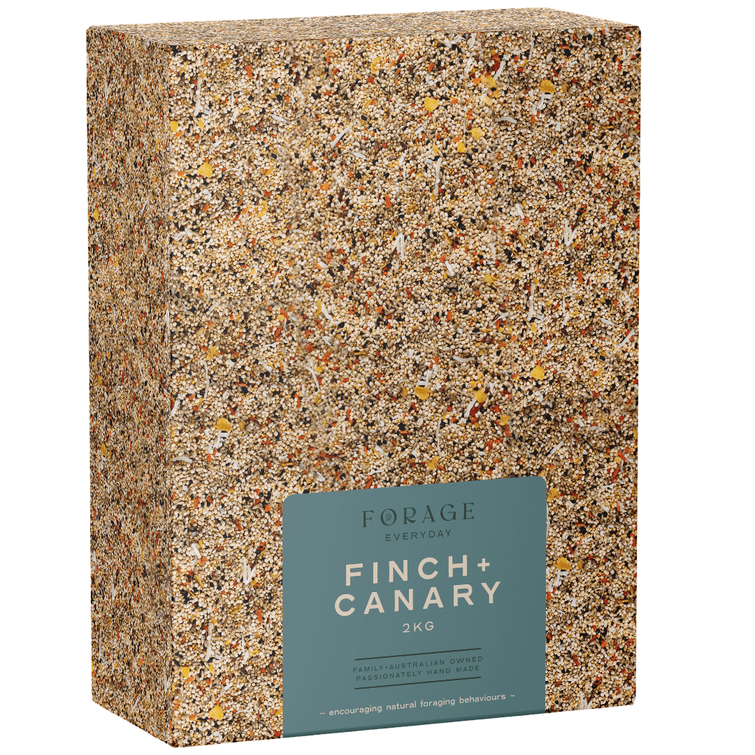Finch And Canary Bird Treats
