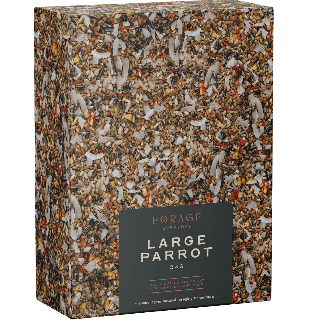 Large Parrot Bird Treats