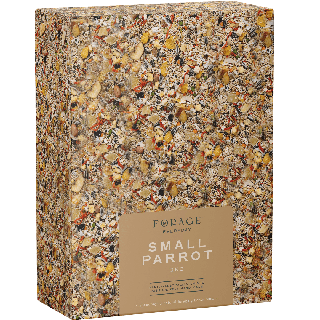 Small Parrot Bird Treats