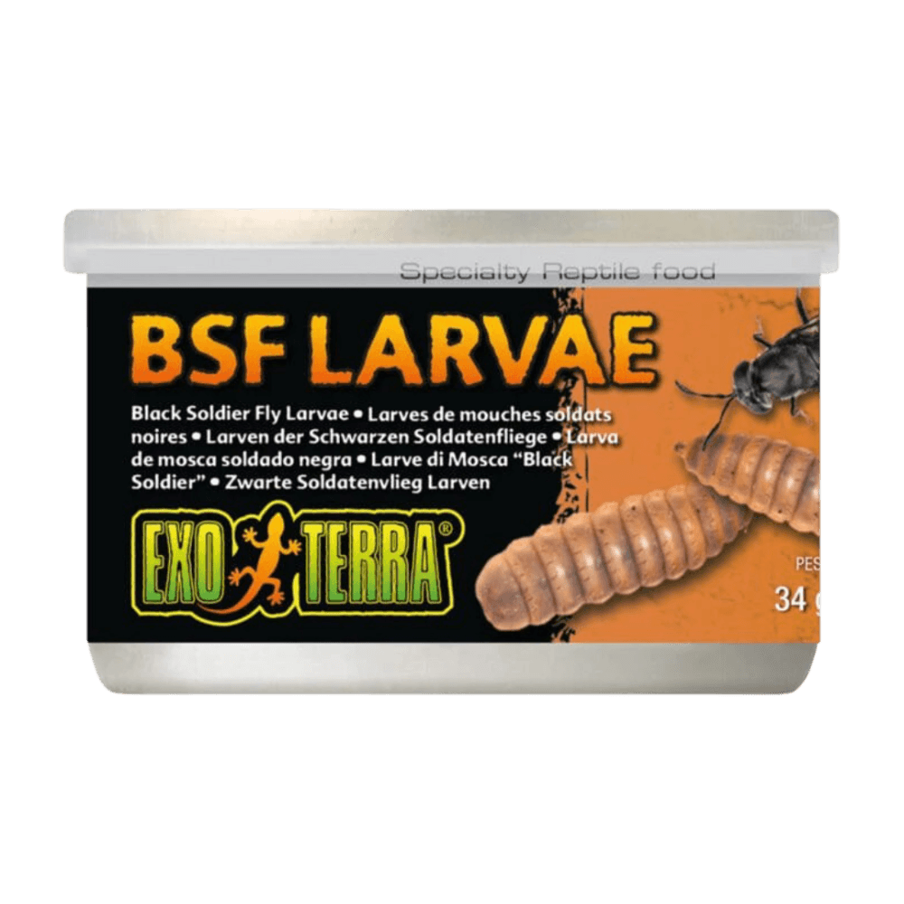 Canned Black Soldier Fly Larvae Specialty Reptile Food