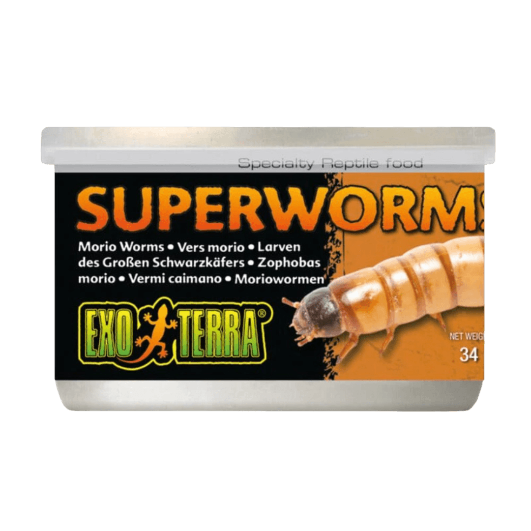 Canned Superworms Specialty Reptile Food