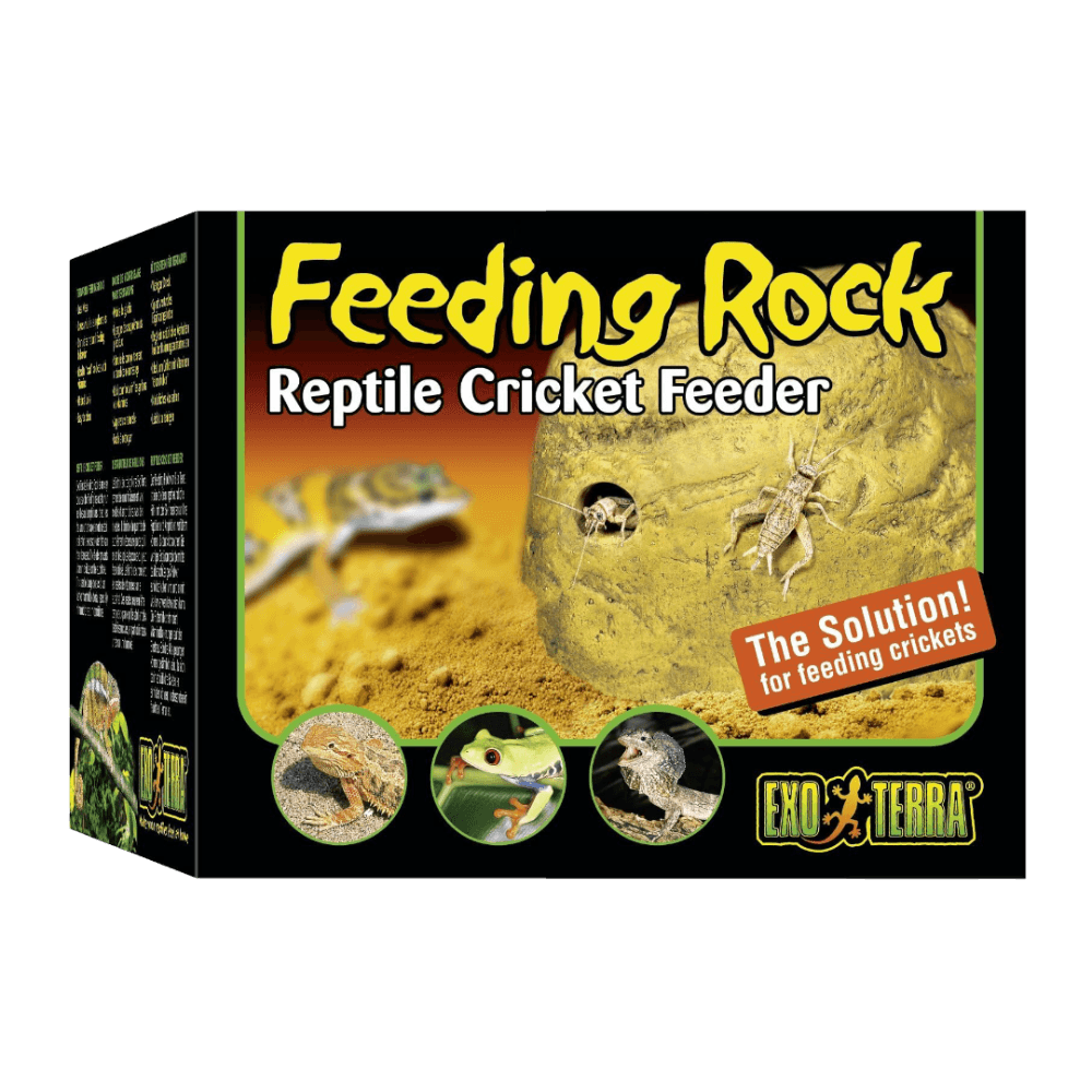 Cricket Feeder for Reptiles