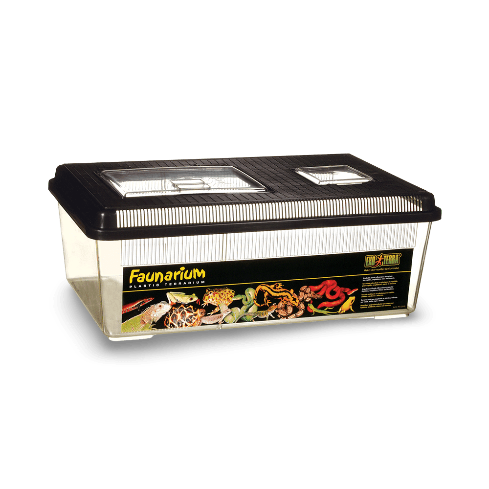 Desert Den Fauna Box