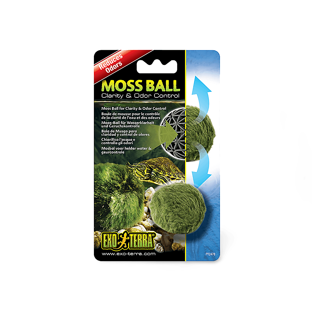 Moss Ball Terrarium Odour Control