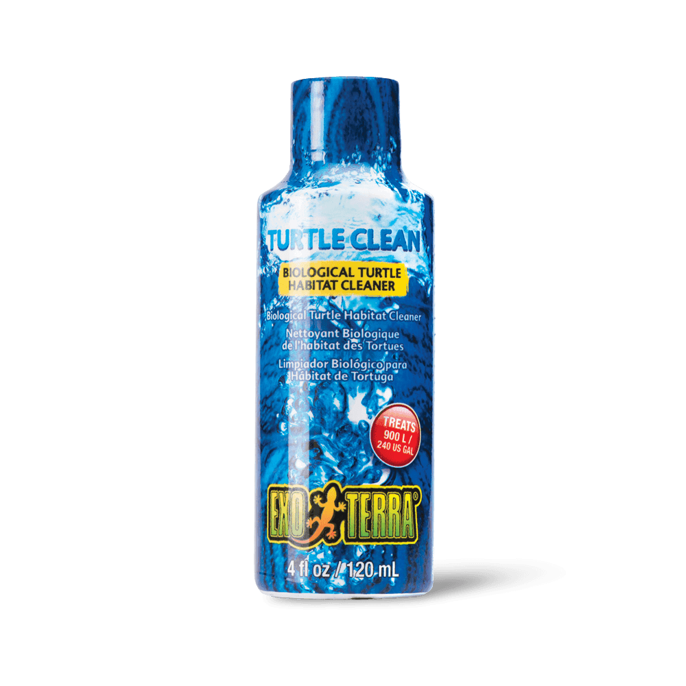 Turtle Clean