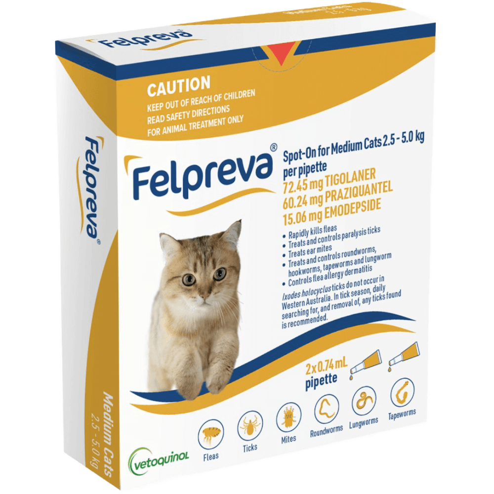 Flea Tick & Worming Spot On For Medium Cats