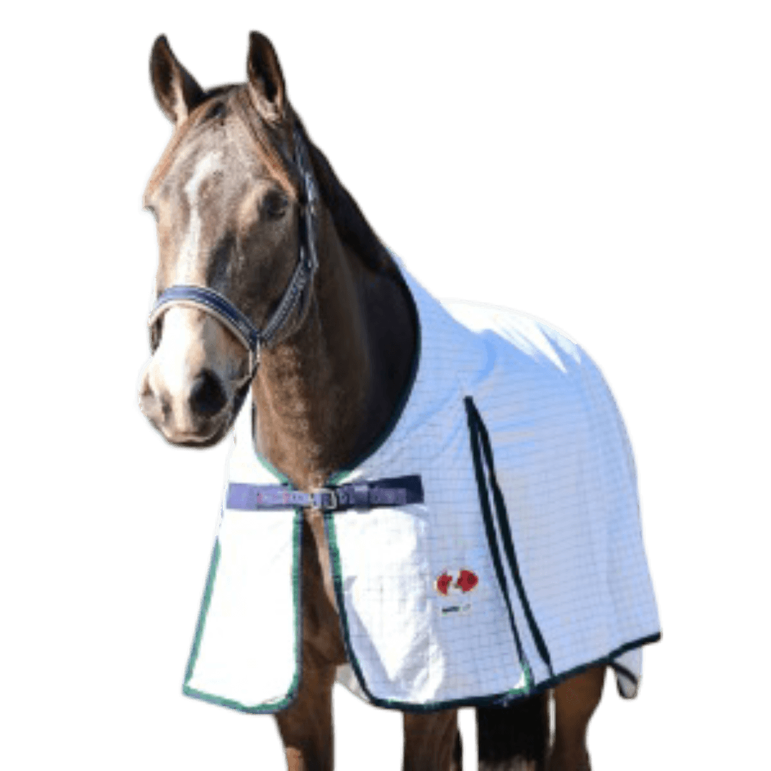 Supastop White Horse Rug With Green Navy Trim