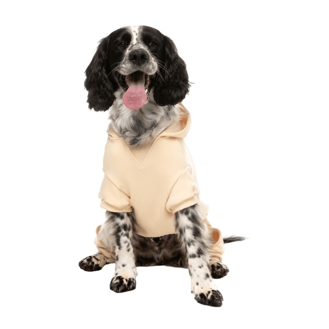 Buttermilk Urban Dog Tracksuit