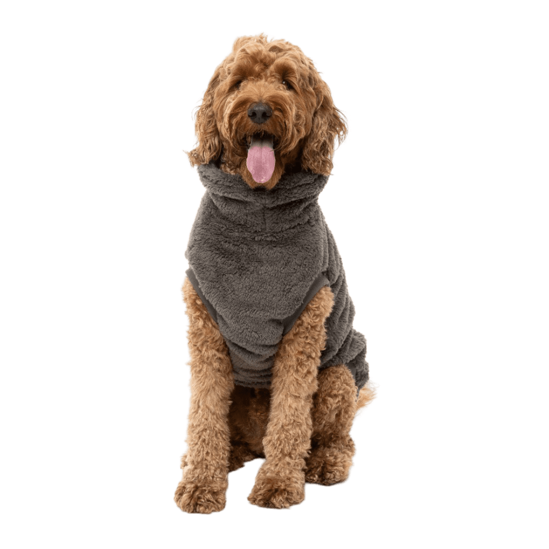 Gunmetal Grey Turtle Teddy Dog Sweater