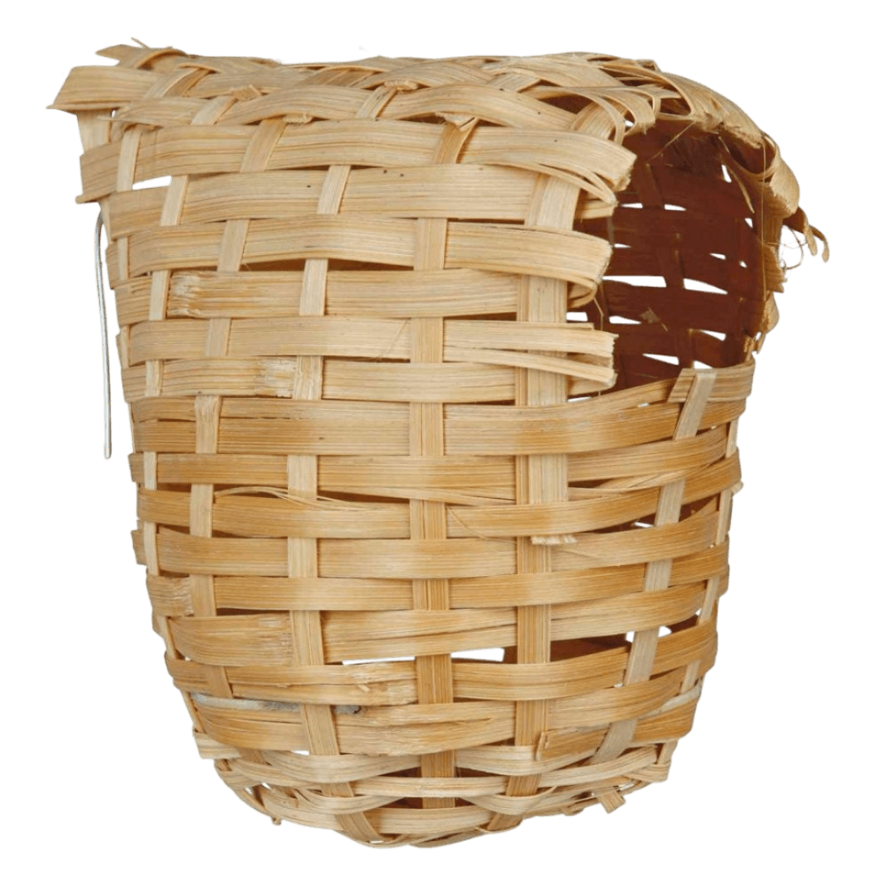 Exotic Bamboo Bird Nest