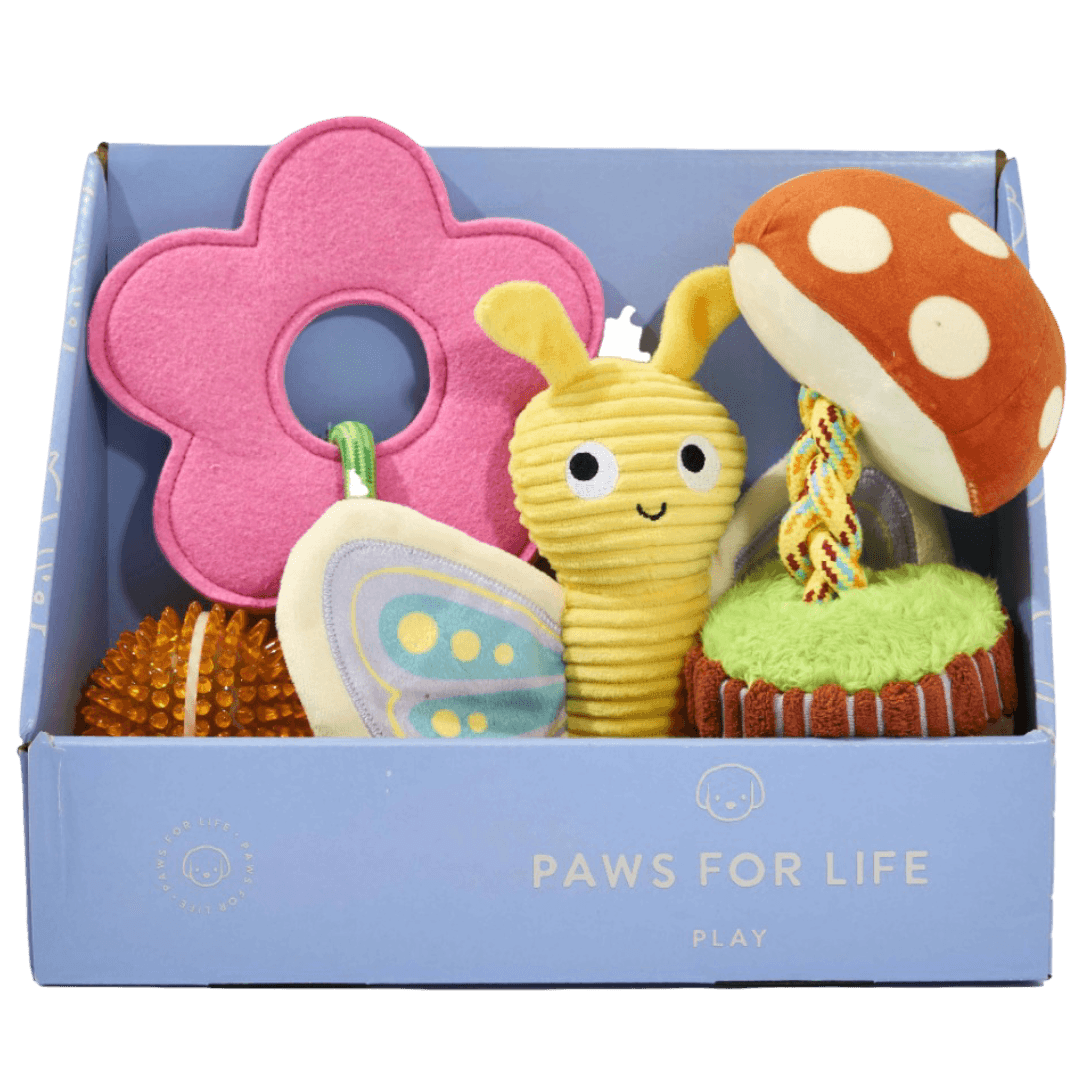 4 Piece Gift Set Spring Garden Dog Toys