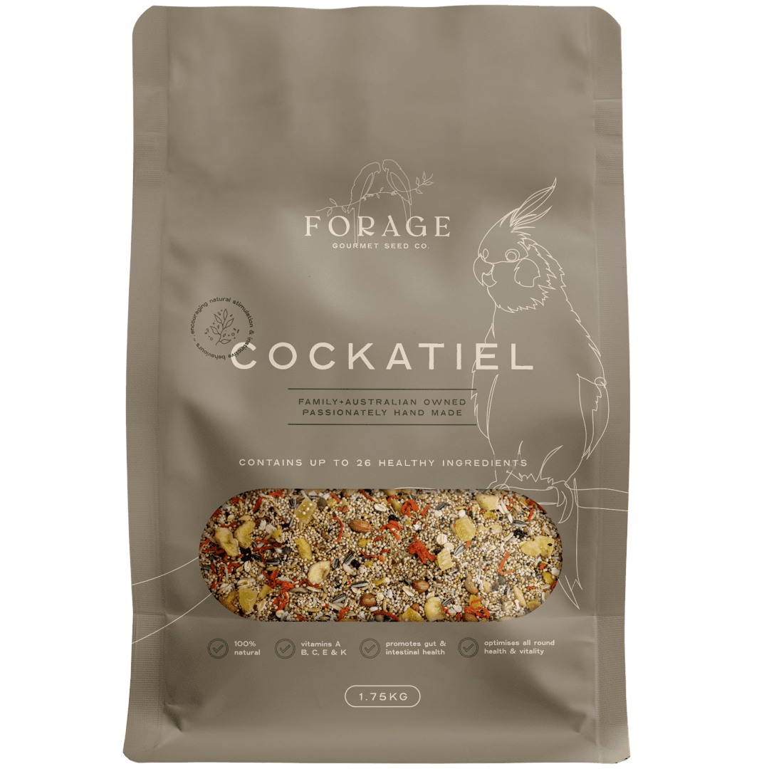 Forage Gourmet Seed Co Cockatiel Bird Food