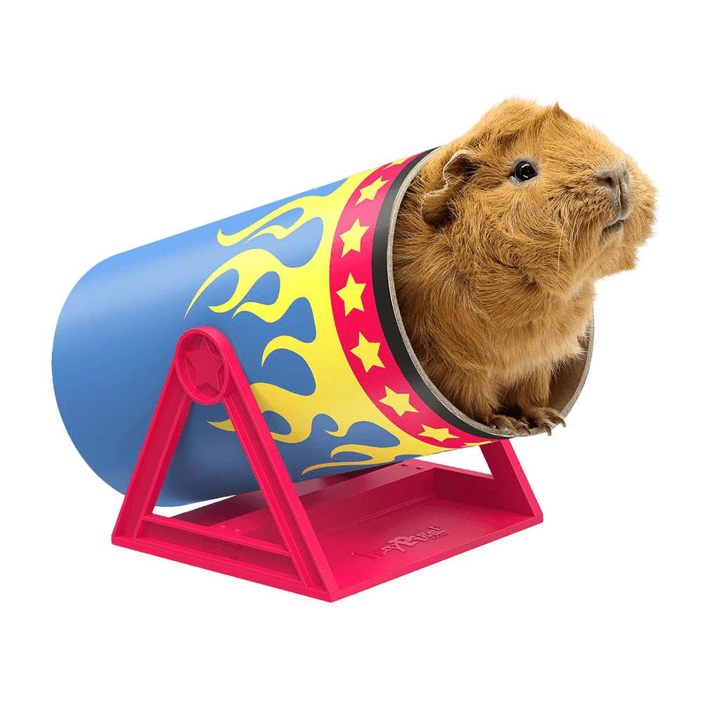 Cavy Cannonball Tilting Tunnel for Guinea Pigs