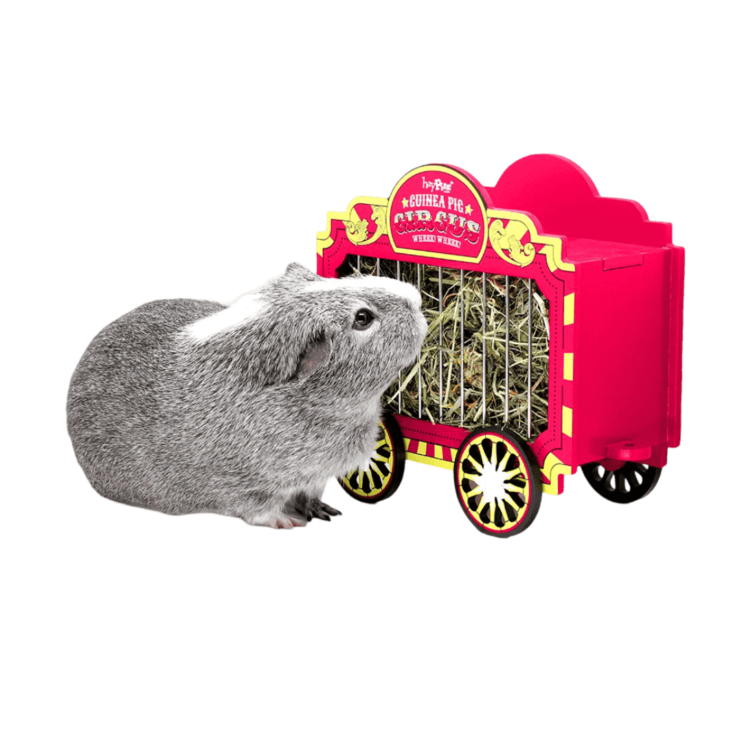 Wheek Wagon Hay Hopper