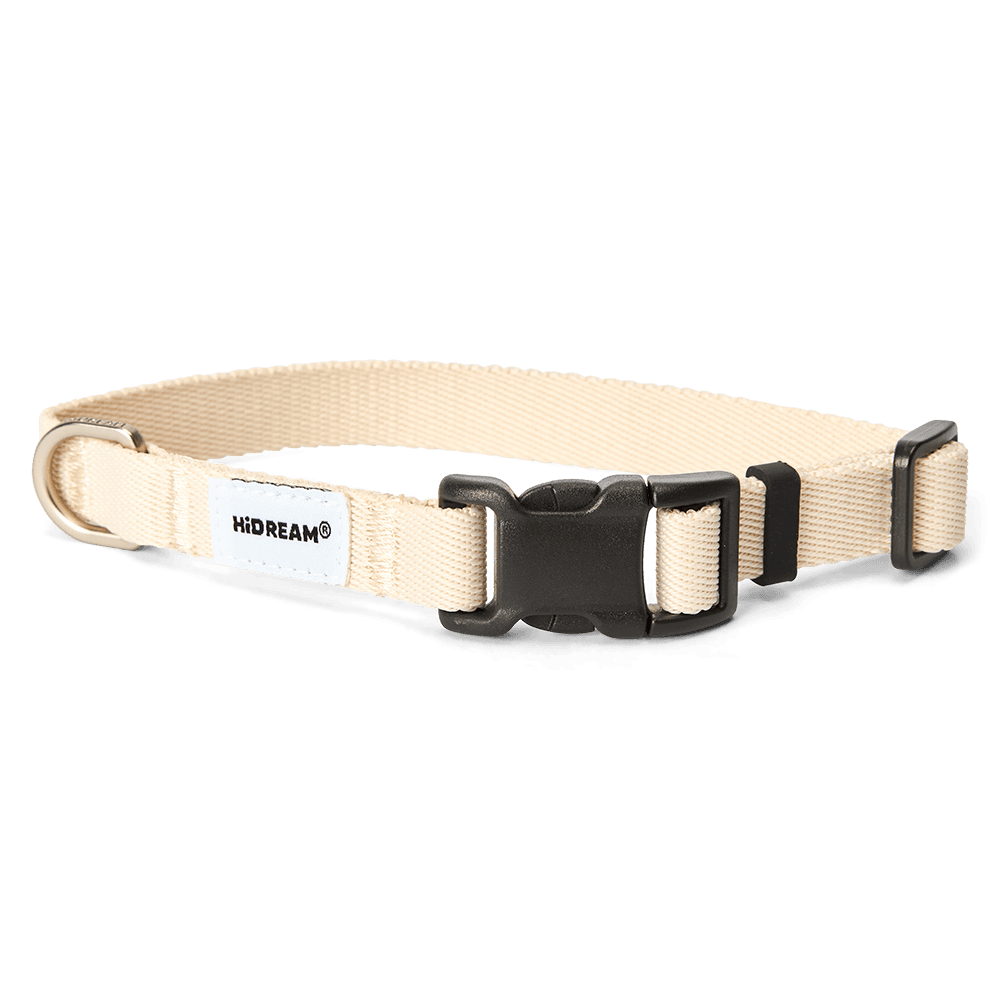 Dog Collar in Beige