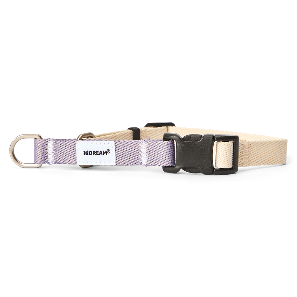 Half P Chain Training Dog Collar in Lilac