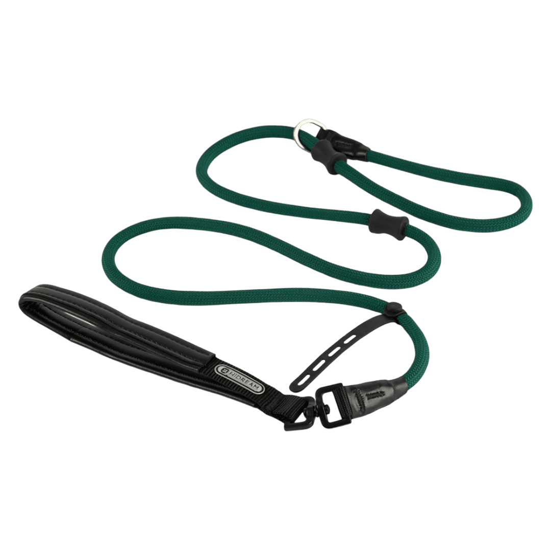 Leather Rotatable Handle Dog Lead in Dark Green