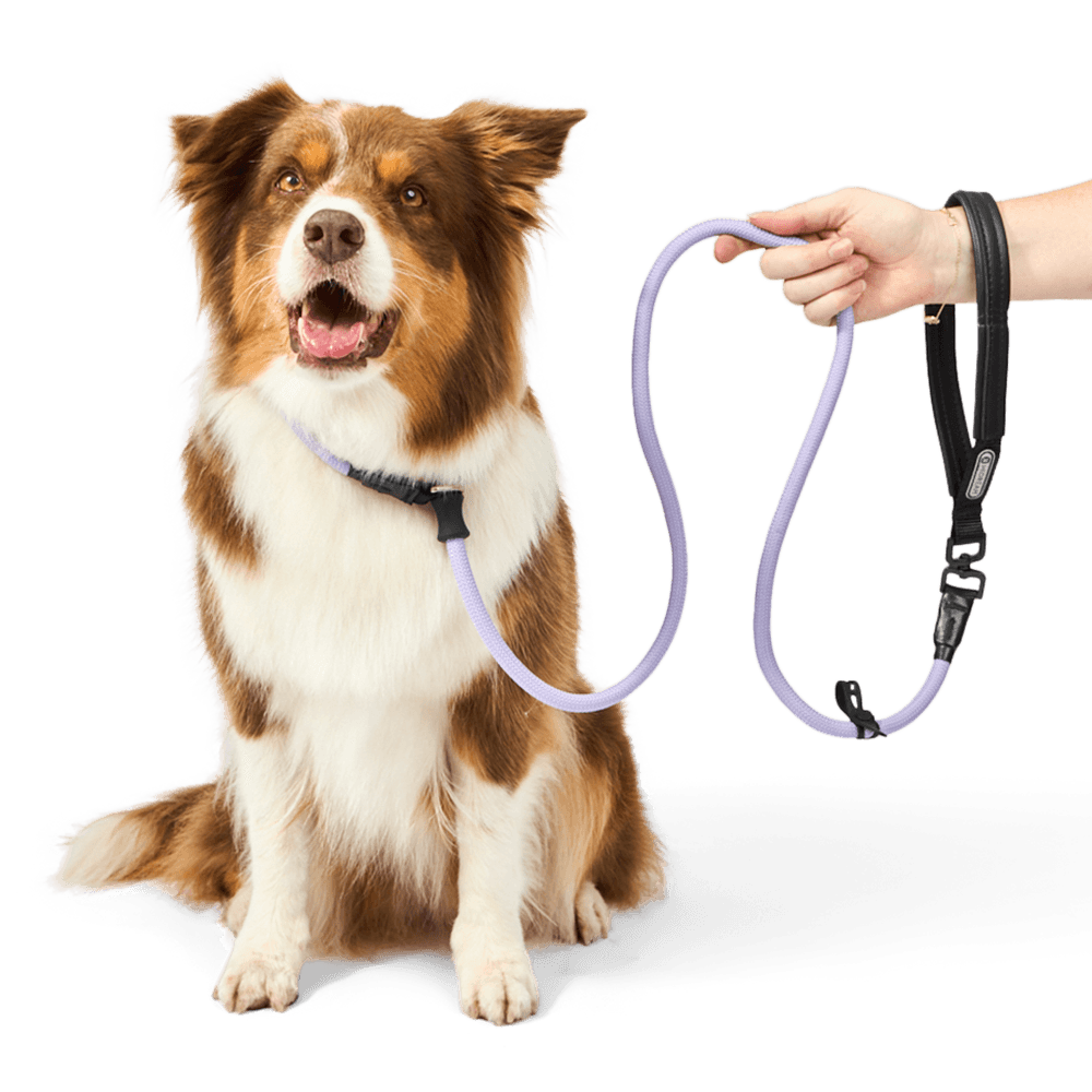 Leather Rotatable Handle Dog Lead in Lilac