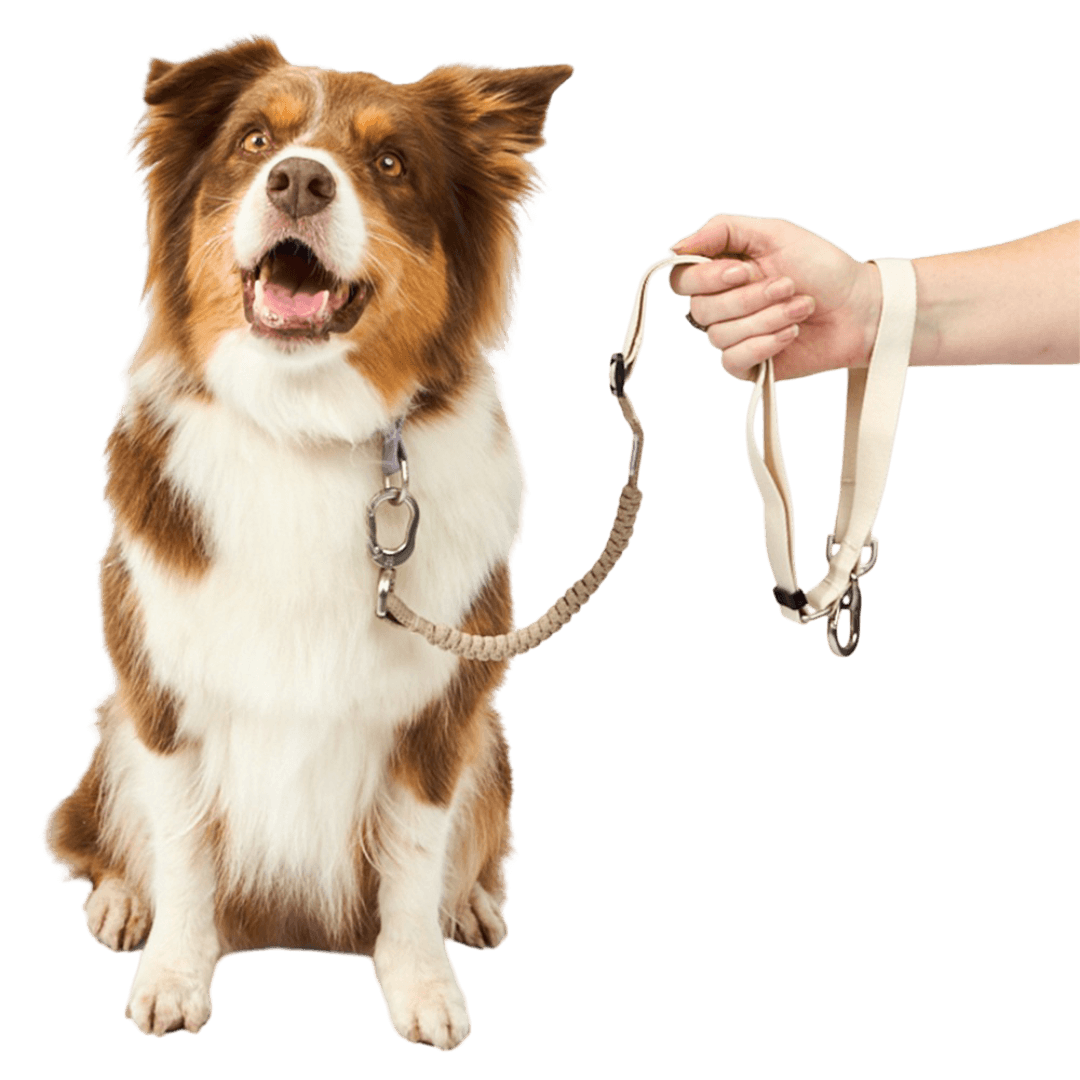 Multifunctional Buffer Dog Lead in Beige