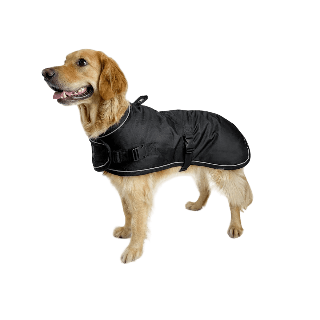 Coat Summit Pro Dark Sky