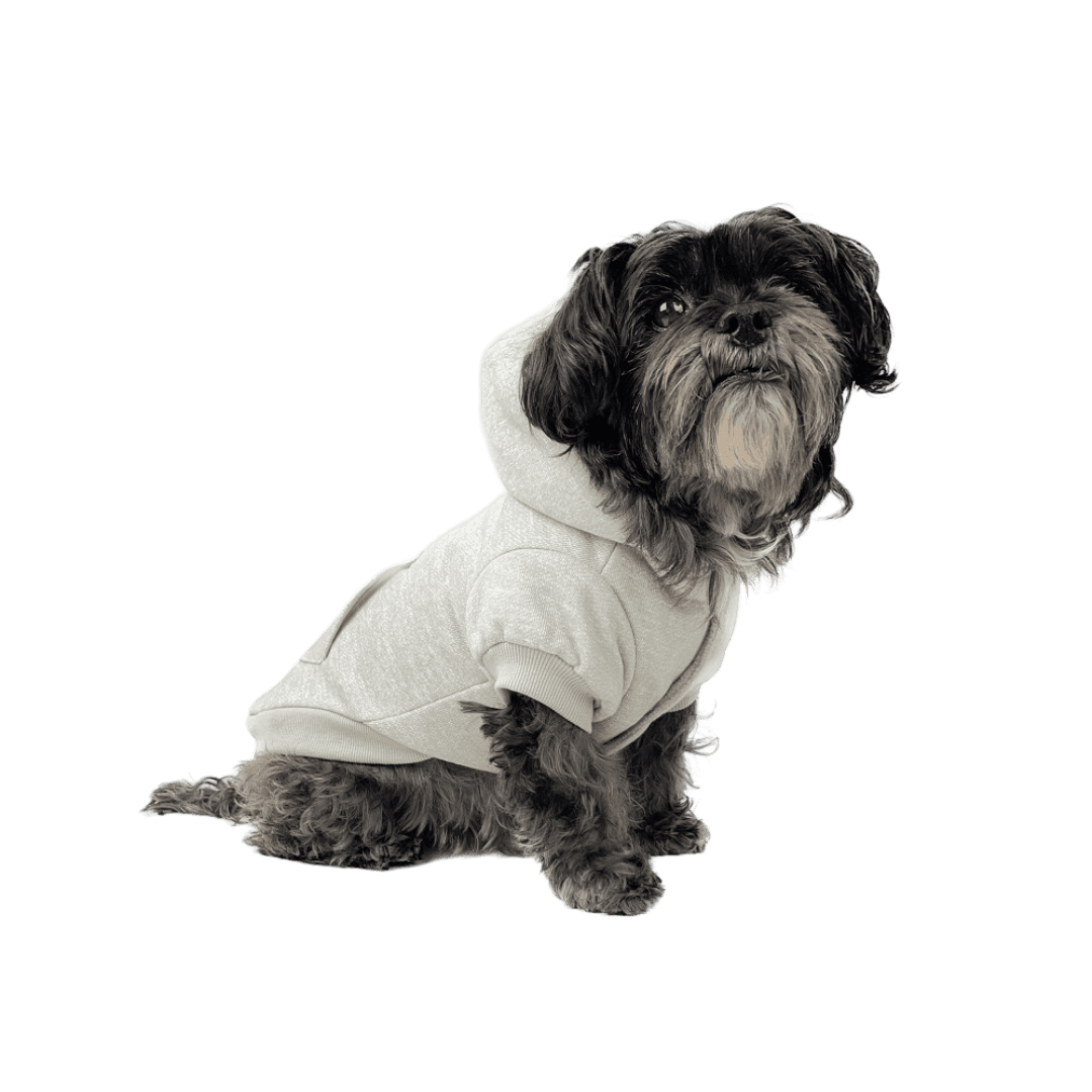 Hoodie Mt Snowy Cloud