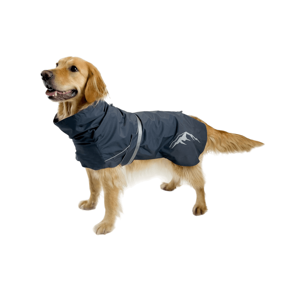 Dog Raincoat Peak Thunderstorm