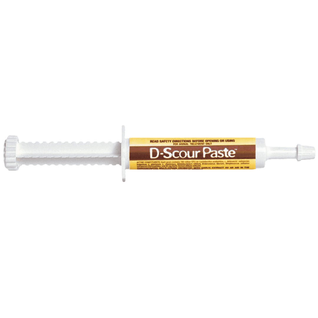 D-Scour Wormer Paste
