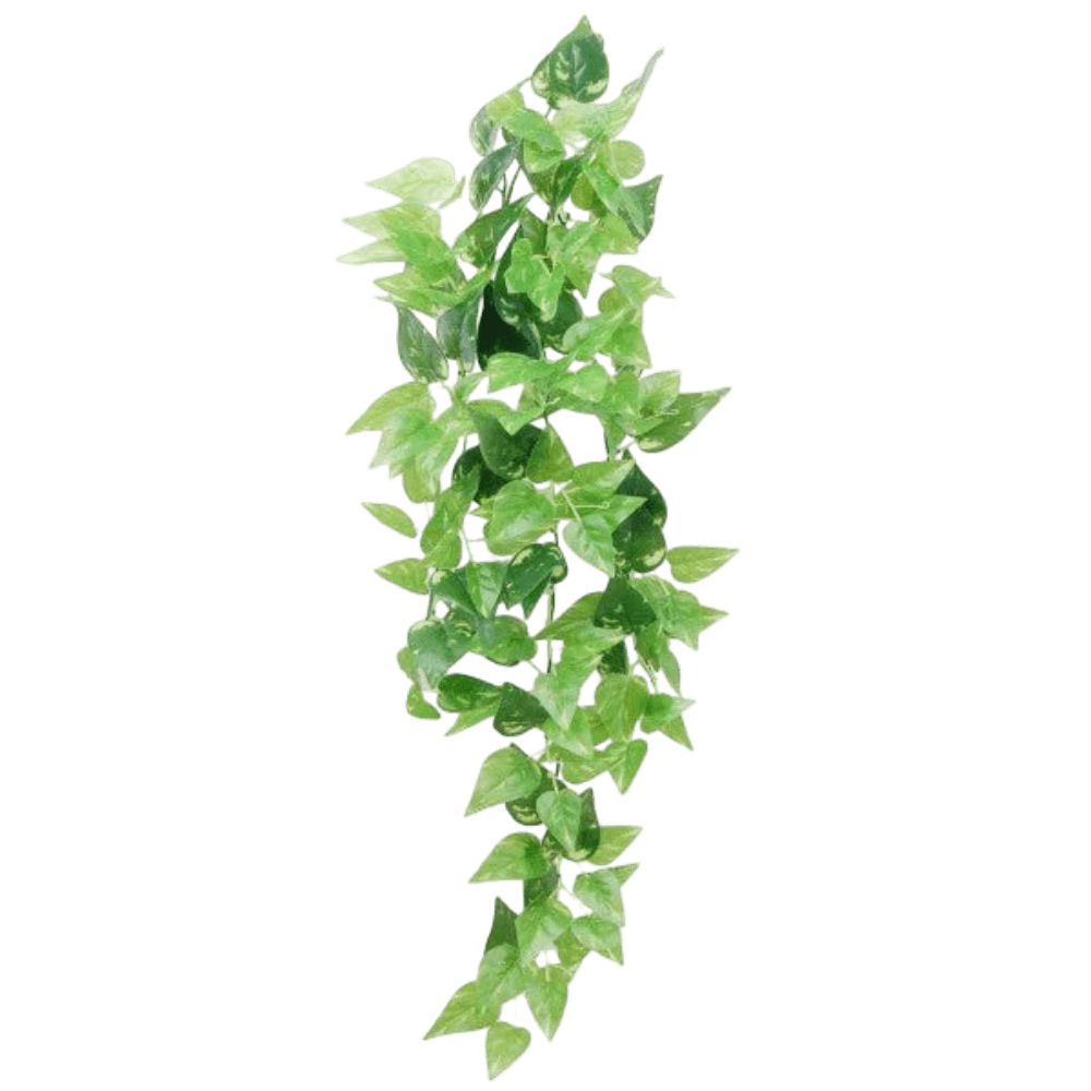 Reptile Hanging Honey Ivy Plant Decor