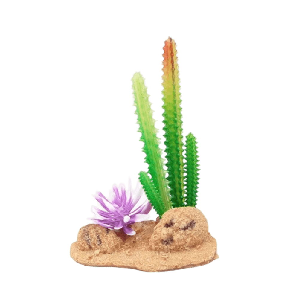 Desert Cactus With Brush And Rock Plant Decor