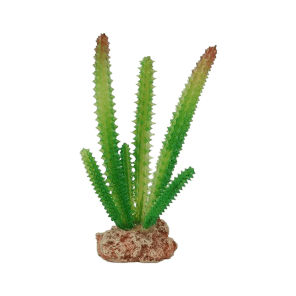 Desert Cactus Plant Decor for Terrariums