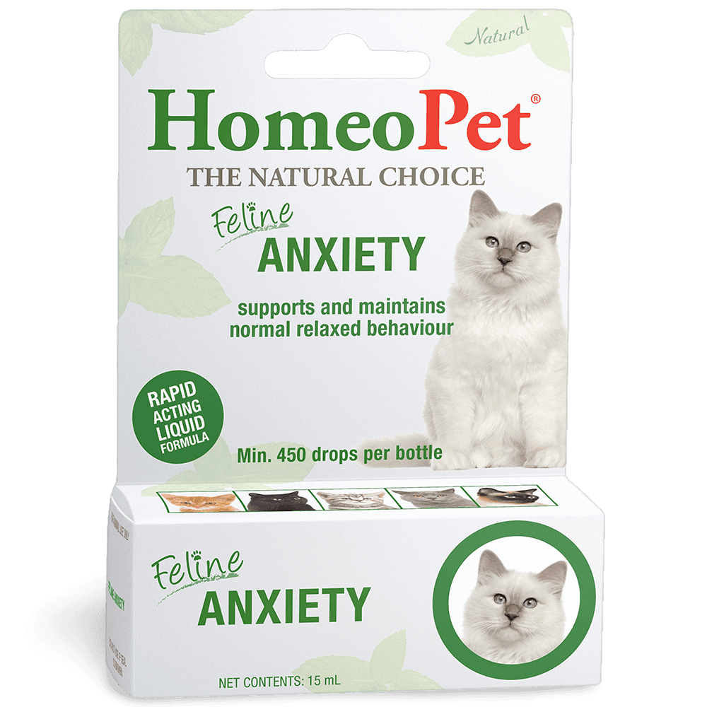 Feline Anxiety Relief