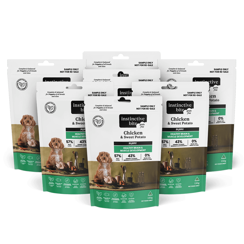 Brain & Muscle Development Chicken Puppy Dry Dog Food Sample Pack