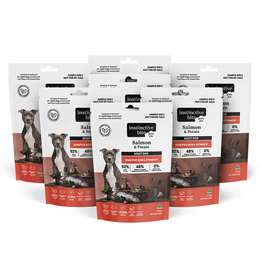 Sensitive Skin & Stomach Salmon Grain Free Adult Dry Dog Food Sample Pack
