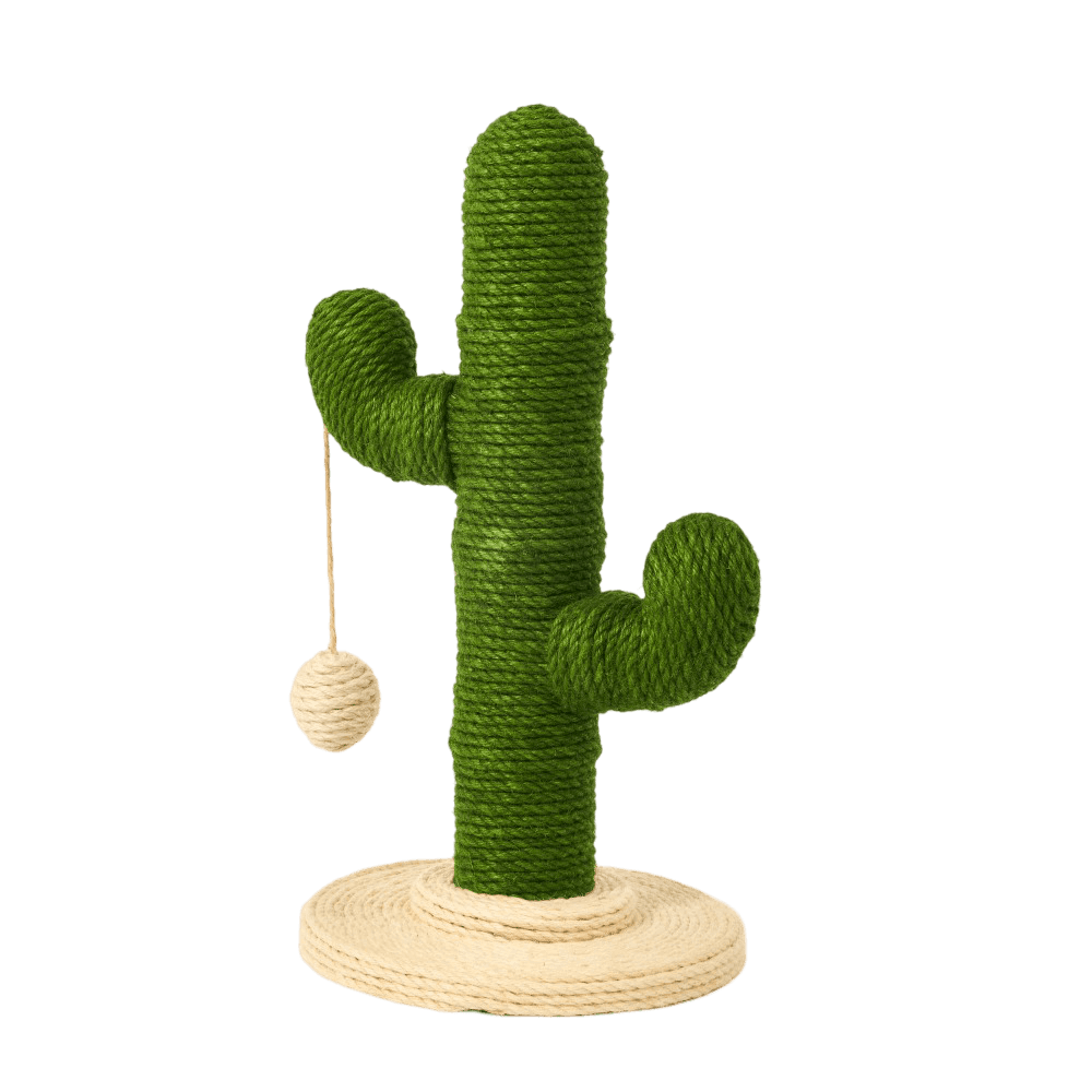 Green Cactus Cat Scratcher with Jute and Sisal Rope
