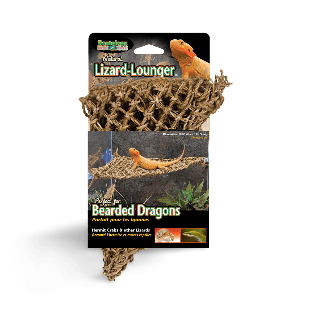 Lizard Loungers Corner