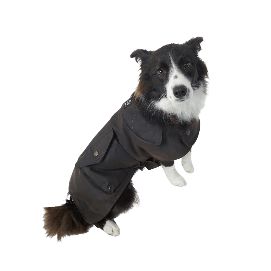 Swanndri Hunter Oilskin Dog Coat Brown